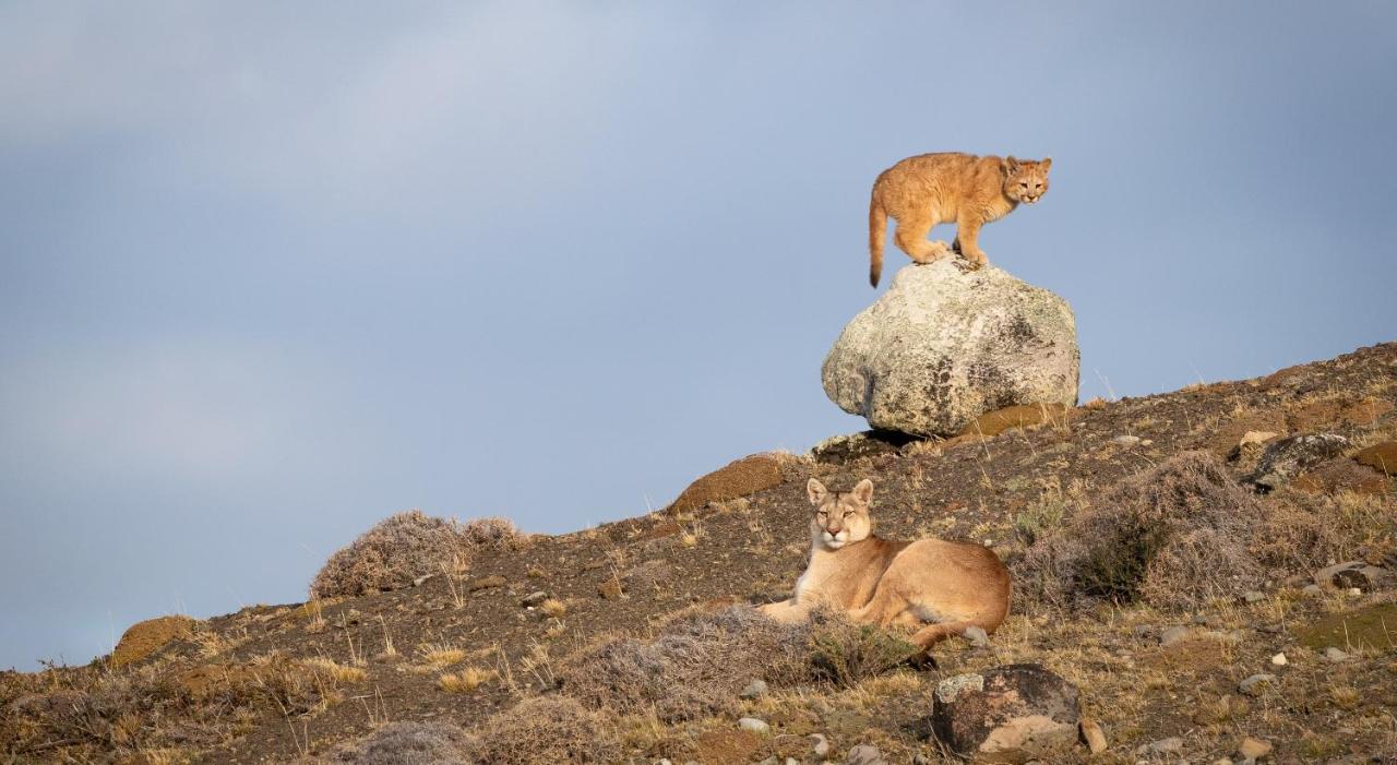 โรงแรมริโอ เซร์ราโน แอนด์ สปา Torres del Paine National Park ภายนอก รูปภาพ