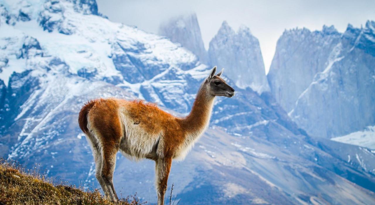 โรงแรมริโอ เซร์ราโน แอนด์ สปา Torres del Paine National Park ภายนอก รูปภาพ