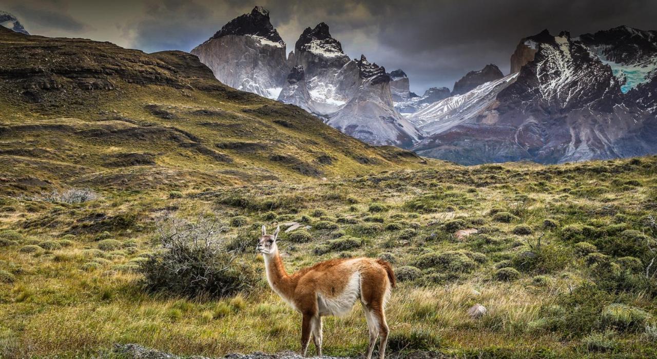 โรงแรมริโอ เซร์ราโน แอนด์ สปา Torres del Paine National Park ภายนอก รูปภาพ